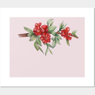 branch of japanese quince with red flowers Posters and Art